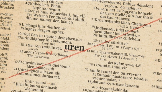 hvad er ren hud — ordbogsopslag